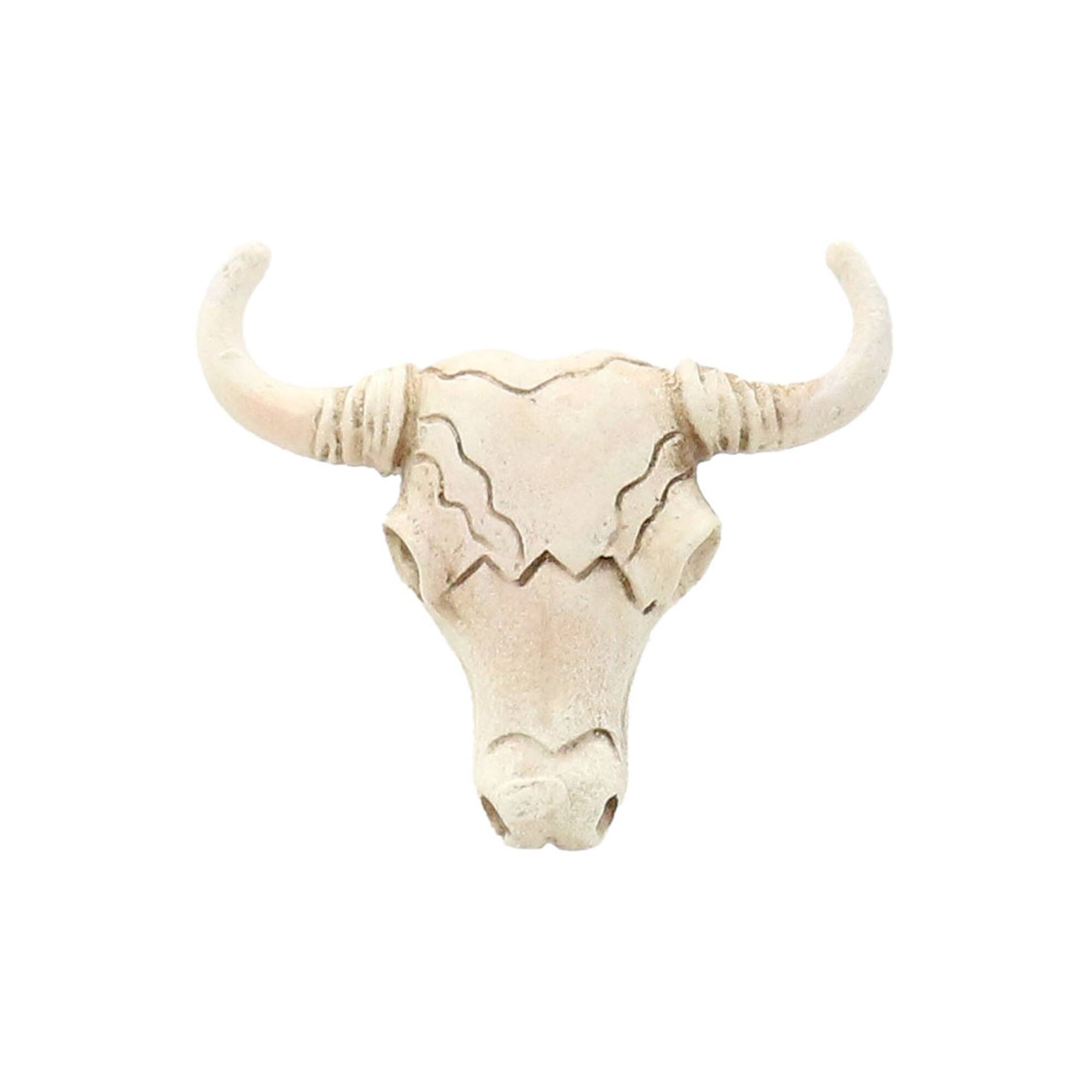 Mini Longhorn Skull by Ashland®